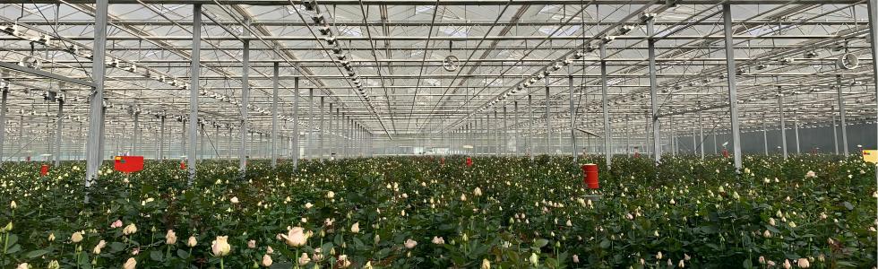 õ�岣������